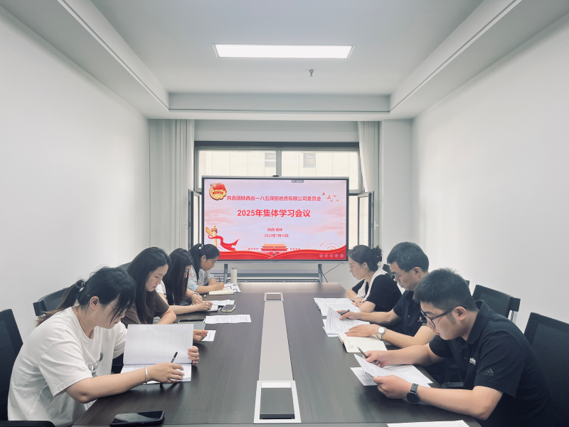 一八五公司团委召开集体学习会议（郑嘉妮摄).png