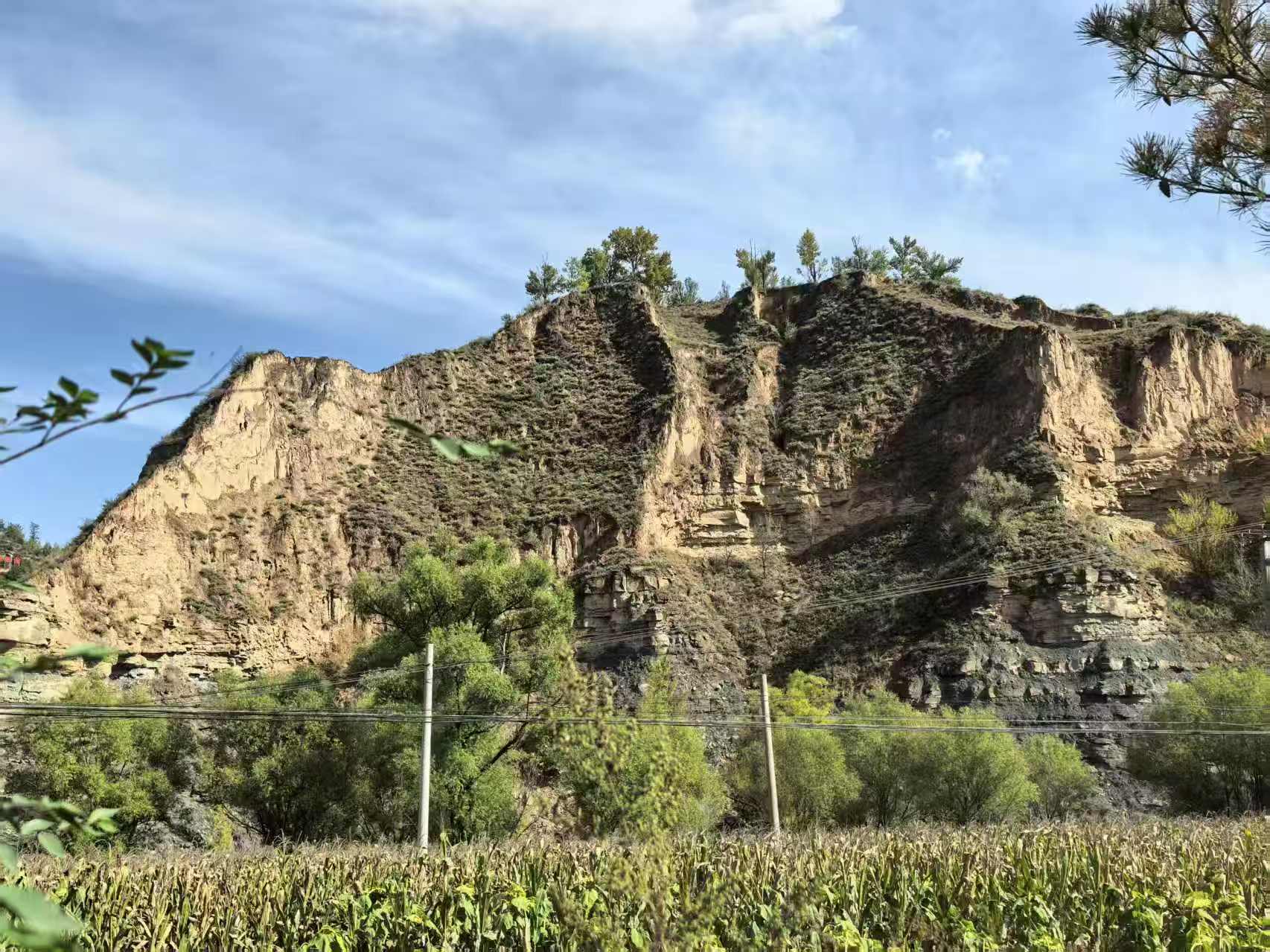 251764060097671809.jpeg fa5962bd4fbbe1116adda740e552fbc7.jpg