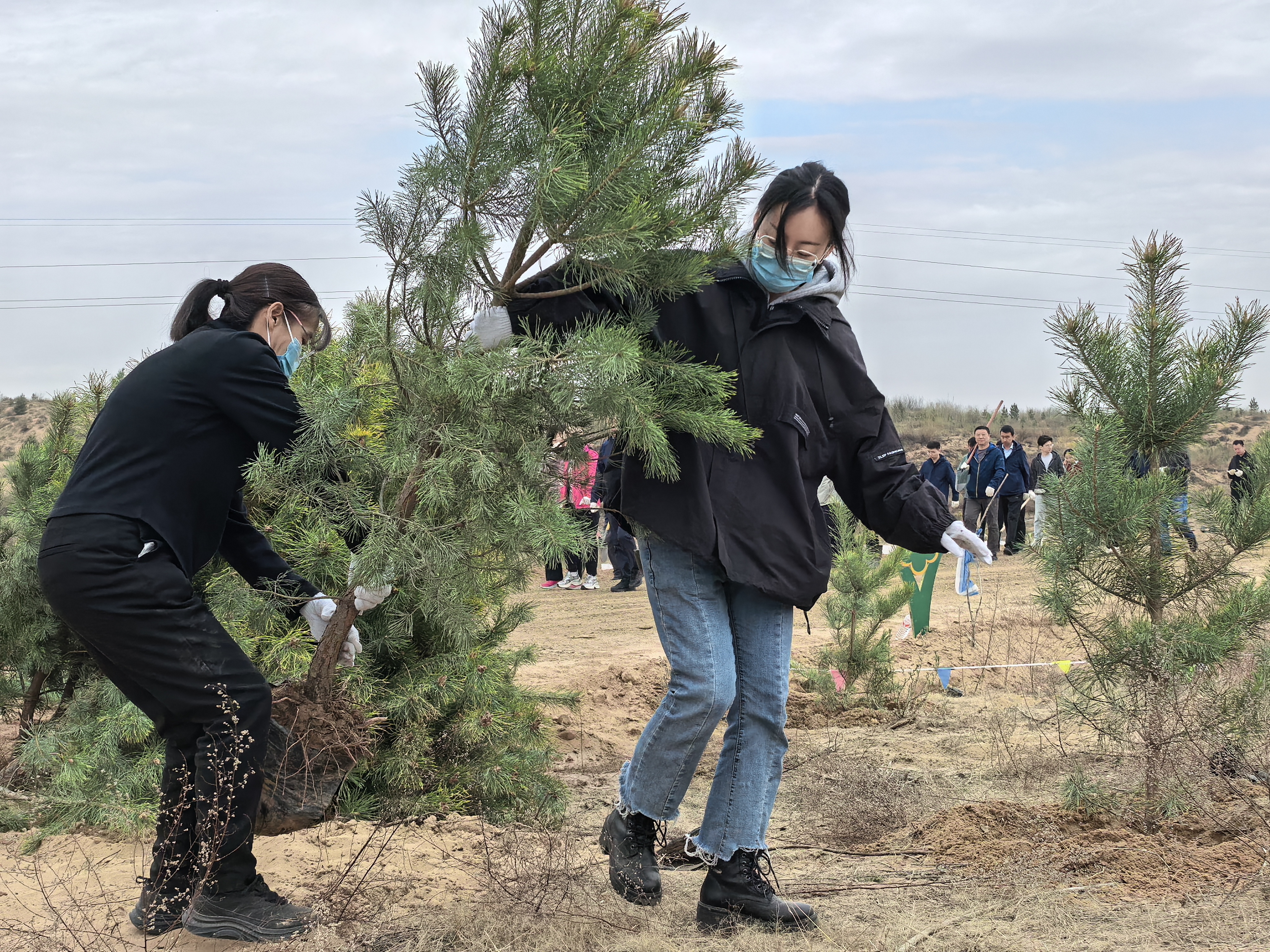 141776143705238571.jpeg 4.14,陕煤地质一八五公司开展“履行植树义务 共建绿色家园”义务植树活动。拍摄:高海 (2).jpg