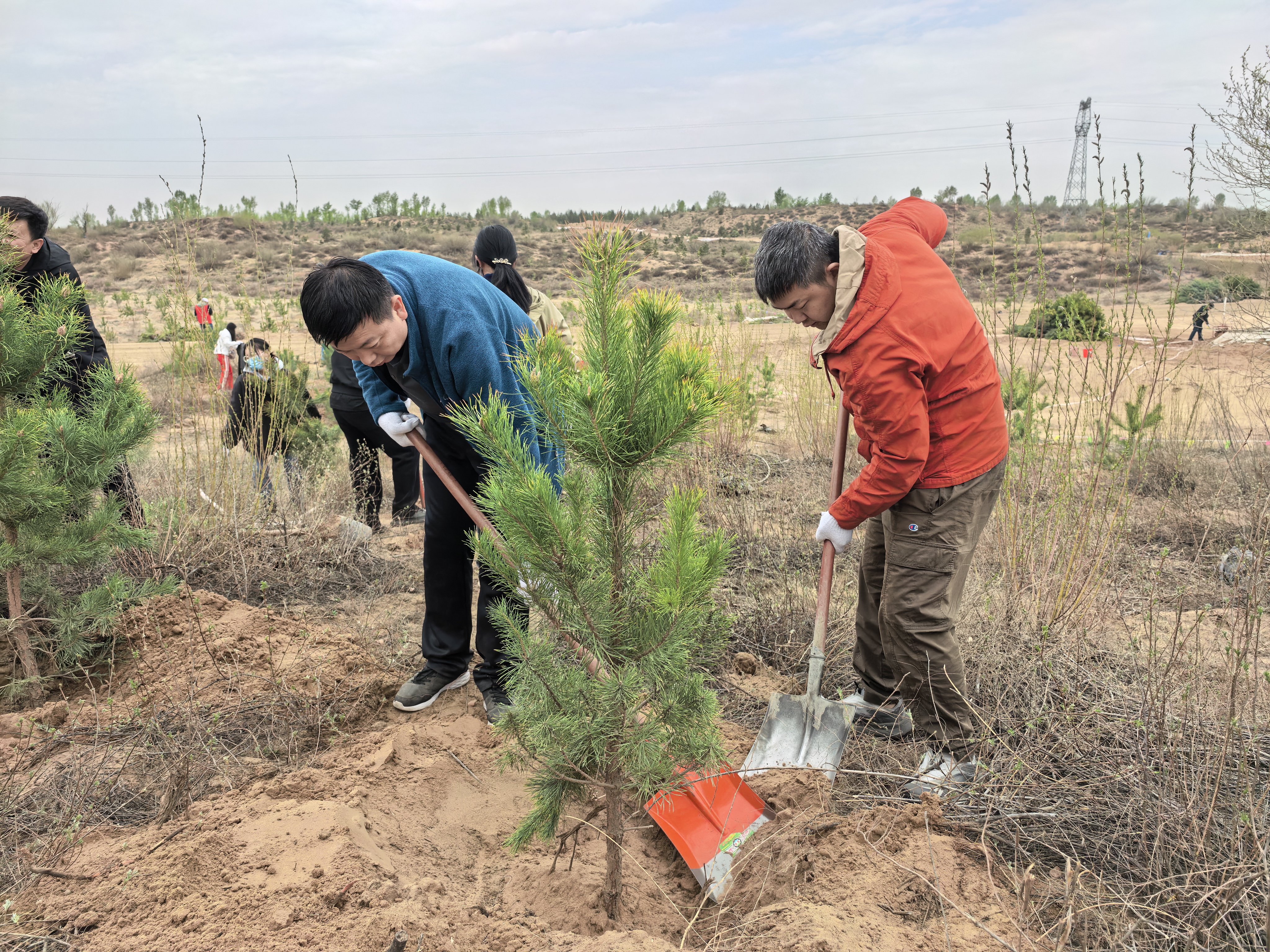 141776143759833066.jpeg 微信图片_20260414104411_397_1426.jpg